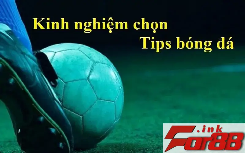 Kinh nghiệm chọn tip bóng đá là gì?